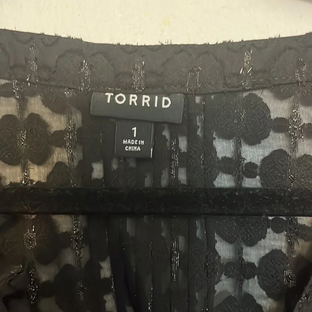 Size 1, Torrid, Long Sleeve Blouse - Picture 2 of 4